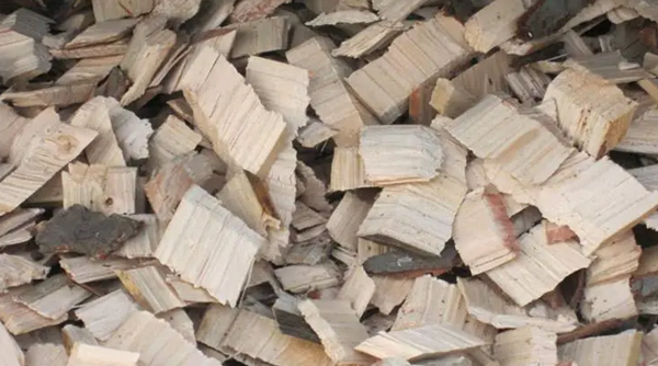 雷達料位計在木片倉中的應用