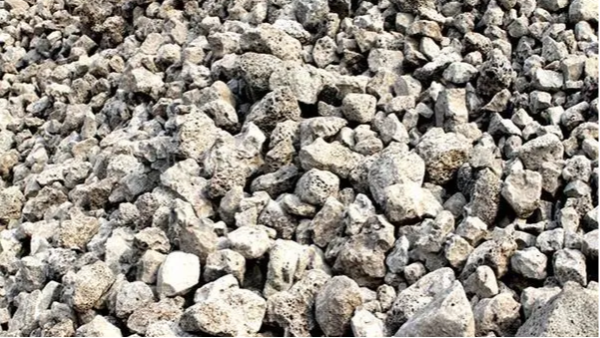 微信圖片_20240321165936