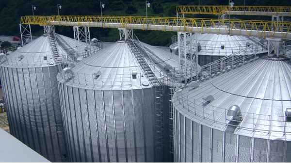 淺析雷達料位計測量糧食筒倉