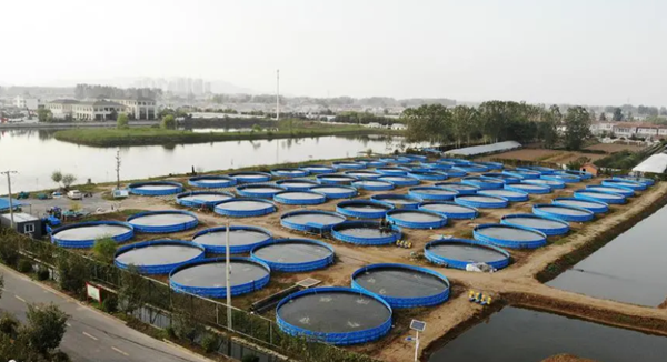 雷達液位計對養殖池內的液位測量分析