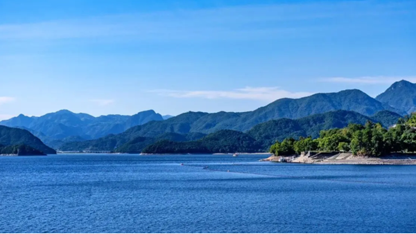 微信圖片_20240708163924