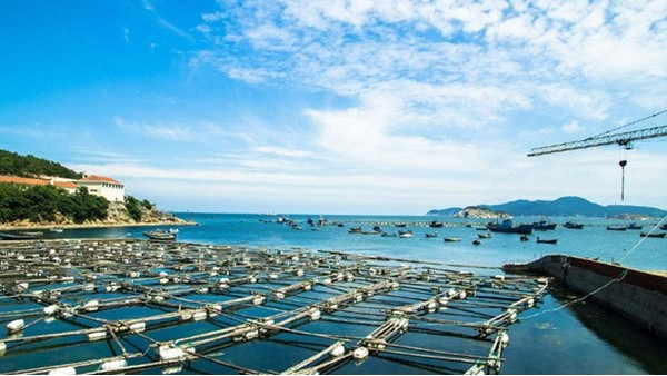 雷達物位計可否應用于水產養殖行業