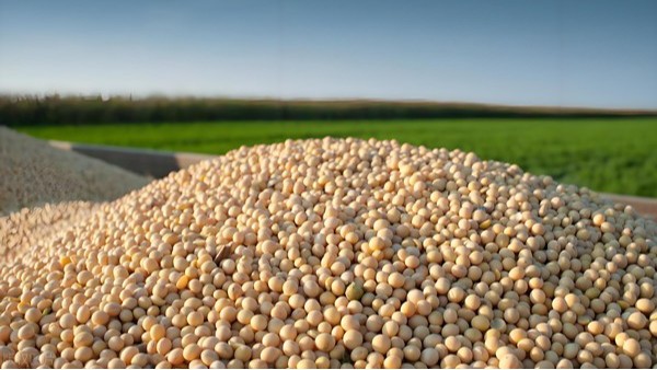 淺析雷達物位計測量豆粕儲罐