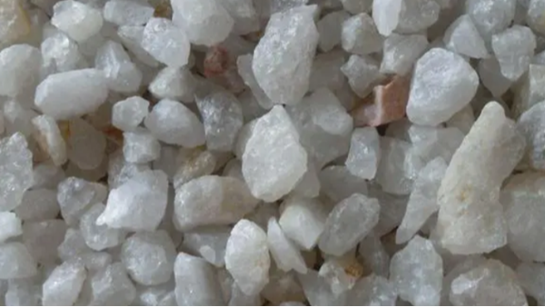 微信圖片_20240726155623